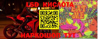 стаф Новокубанск
