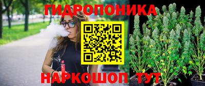 стаф Новокубанск