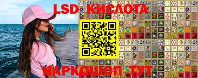 стаф Новокубанск