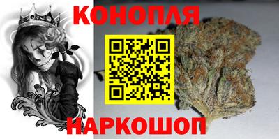 стаф Новокубанск