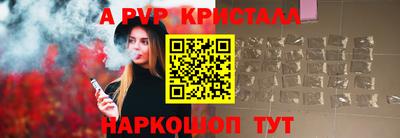 стаф Новокубанск
