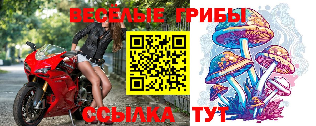Радужный  Псилоцибиновые грибы GOLDEN TEACHER  Вход с VPN 
